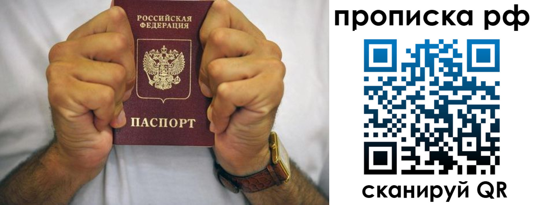 прописка регистрация в Сафоново